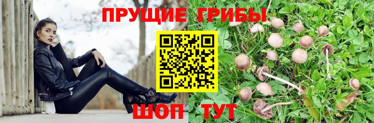 Галлюциногенные грибы Psilocybine cubensis  магазин  наркотиков  Клин  Вход с VPN 